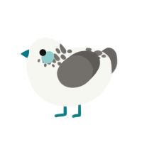 Ice Cap, a white and grey chicken with a neck-speckle pattern