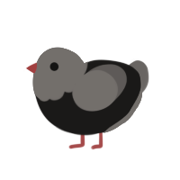 Emo Jr, a sable and grey chicken with a head pattern