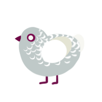 Powder, a silver and white chicken with a half-lace pattern