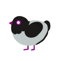 Monochrome, a silver and sable chicken with a head pattern