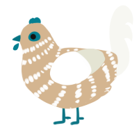 Hibi, a beige and white chicken with a bar pattern