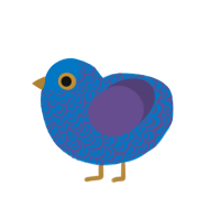 (unnamed), a sapphire and overcast chicken with a double-lace pattern