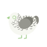 Ornate, a white and ash chicken with a half-lace pattern