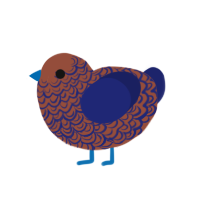 (unnamed), a russet and navy chicken with a double-lace pattern