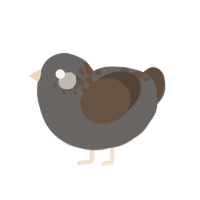 Birdo, a grey and bark chicken with a neck-speckle pattern