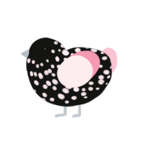 Flipflop, a black and rose chicken with a speckle pattern