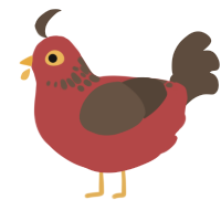 Apollo Juice, a red and bark chicken with a neck-speckle pattern