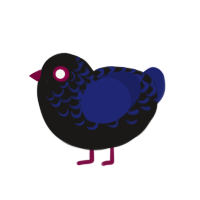 (unnamed), a sable and navy chicken with a half-lace pattern