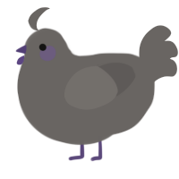 baby purple, a grey chicken