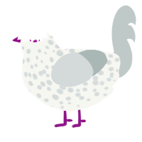 Thousand Yard Soda, a white and silver chicken with a speckle pattern