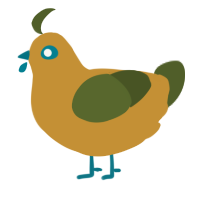 Tai, a gold and olive chicken