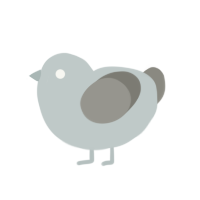 Smooth Pebble, a silver and ash chicken