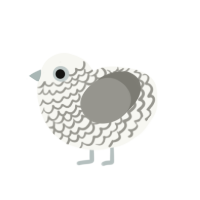 The Princess, a white and ash chicken with a lace pattern