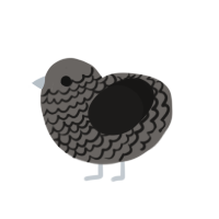 The Drowned Grey, a grey and sable chicken with a lace pattern