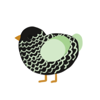 (unnamed), a sable and gluppy chicken with a lace pattern