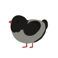 (unnamed), a ash and sable chicken with a head pattern