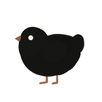 (unnamed), a black chicken with a head pattern