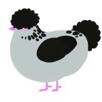 As foretold, a silver and black chicken with a neck-speckle pattern