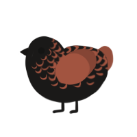 Damnation, a sable and russet chicken with a half-lace pattern