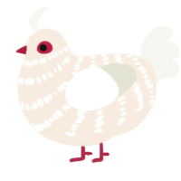 Ghost 2, a cream and white chicken with a bar pattern