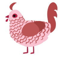 Cupid, a rose and red chicken with a lace pattern