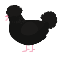 (unnamed), a black and sable chicken with a neck-speckle pattern