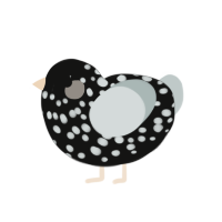 (unnamed), a black and silver chicken with a speckle pattern