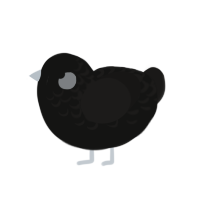 (unnamed), a black and sable chicken with a half-lace pattern