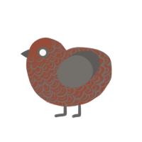 (unnamed), a russet and grey chicken with a double-lace pattern