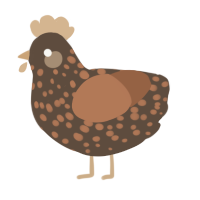 A bark and brown chicken with a speckle pattern