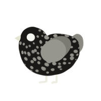 Tuff, a sable and ash chicken with a speckle pattern