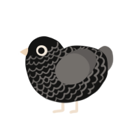 (unnamed), a black and grey chicken with a lace pattern