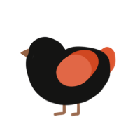 (unnamed), a black and vermilion chicken