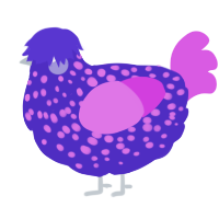 Jellybean, a indigo and orchid chicken with a speckle pattern