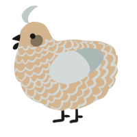 (unnamed), a beige and silver chicken with a lace pattern