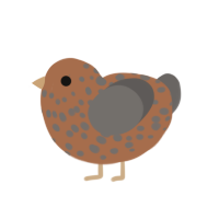 fluffy potato, a brown and grey chicken with a speckle pattern