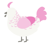 Ichigo, a white and pink chicken with a half-lace pattern