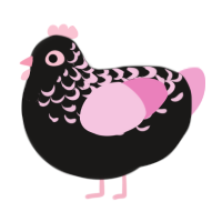 M, a sable and pink chicken with a half-lace pattern