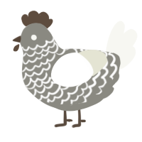 (unnamed), a ash and white chicken with a lace pattern