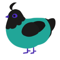 Aqua, a turquoise and sable chicken with a head pattern