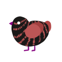 (unnamed), a sable and red chicken with a bar pattern