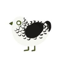 (unnamed), a white and sable chicken with a half-lace pattern