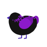 (unnamed), a black and violet chicken with a neck-speckle pattern