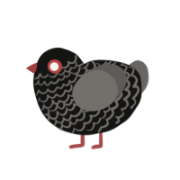 The Den, a black and grey chicken with a lace pattern