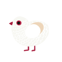 Dove, a white and cream chicken with a lace pattern