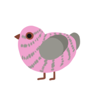 (unnamed), a pink and ash chicken with a bar pattern