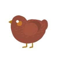 hazelnut, a russet chicken with a half-lace pattern