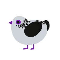 (unnamed), a mist and black chicken with a neck-speckle pattern