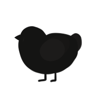 Mothman Jr, a black and sable chicken