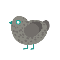 Stone, a ash and grey chicken with a speckle pattern